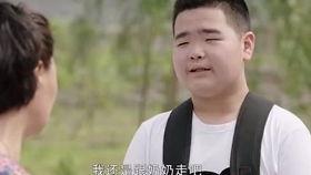 乡村爱情丁宁个人资料,丁宁的青春足迹与爱情传奇