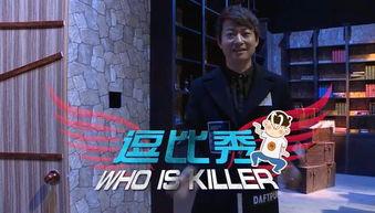 娱乐节目杀手,揭秘网络新宠的崛起之路