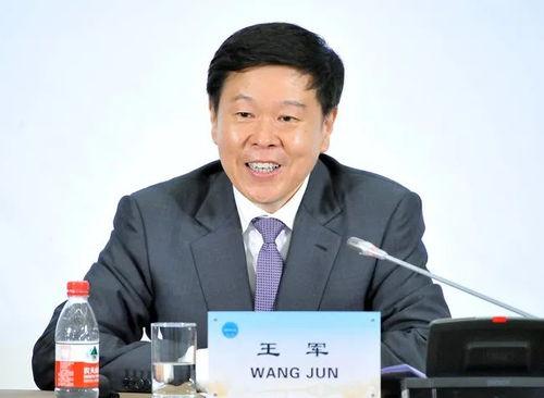 百合网王军个人资料,揭秘情感社交平台背后的商业传奇